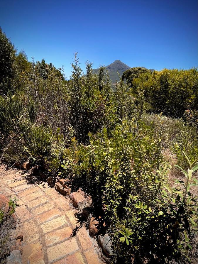 Windrose, Noordhoek, Sensationeller Meerblick Ciudad del Cabo Exterior foto